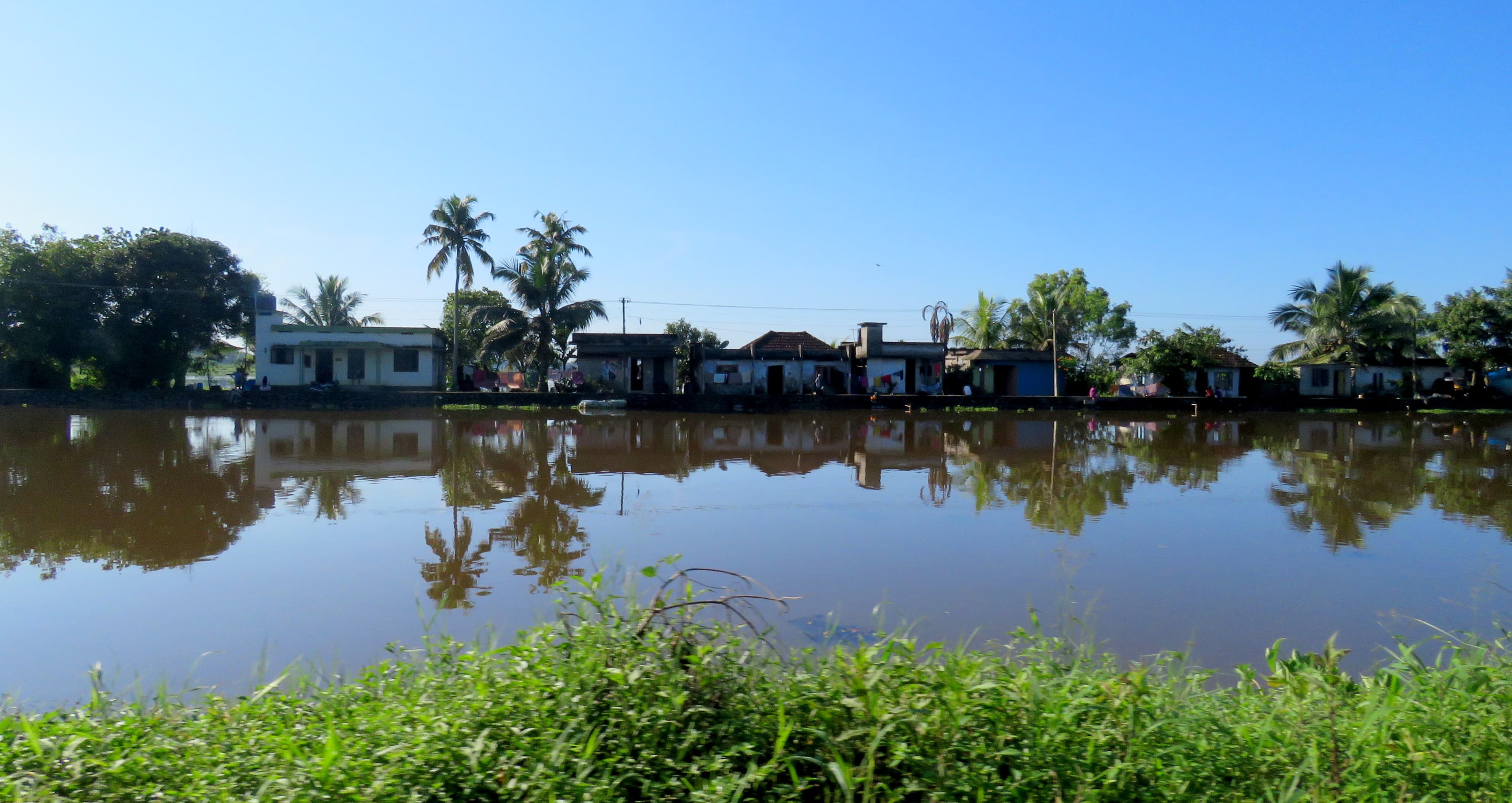 View of  Kuttanad Backwaters