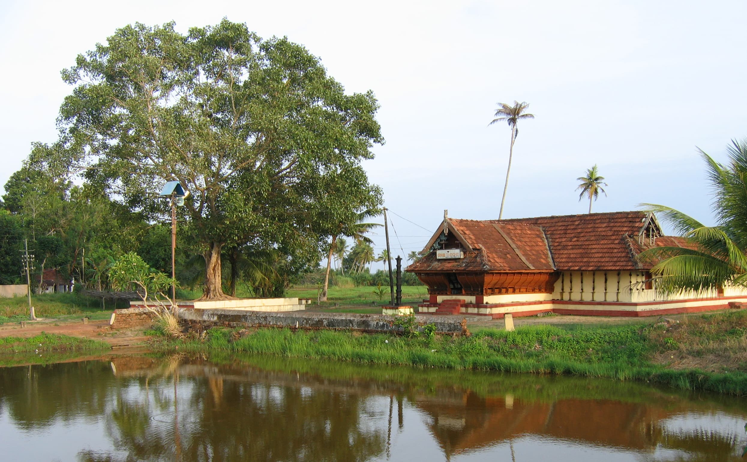 View of Karumadi village from Backpackers