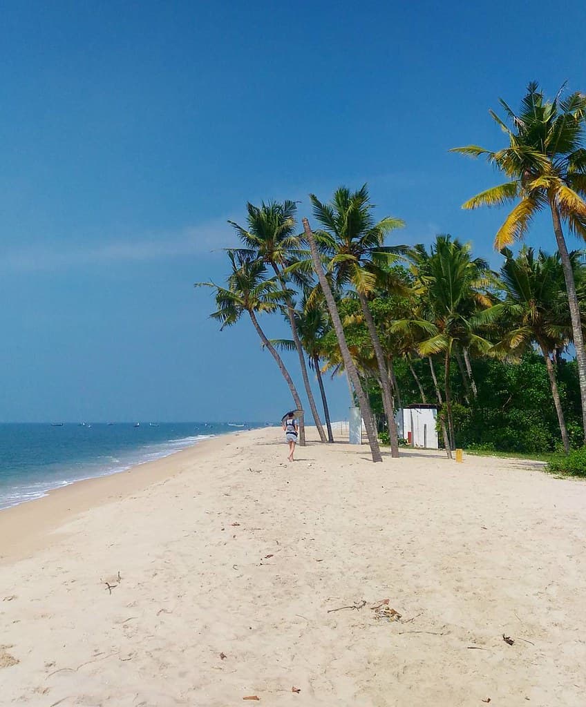 Shoreline of Marari Beach