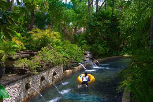 Tropical plants and pools