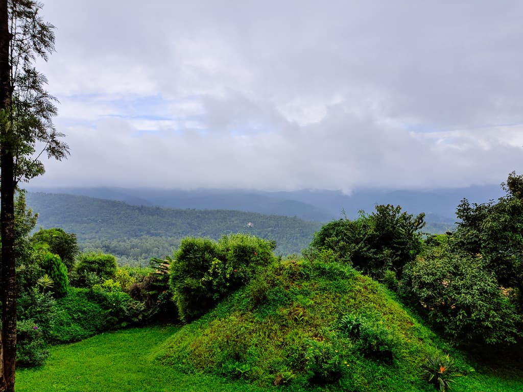 Aerial view of View of Mercara Gold Estate coffee plantations