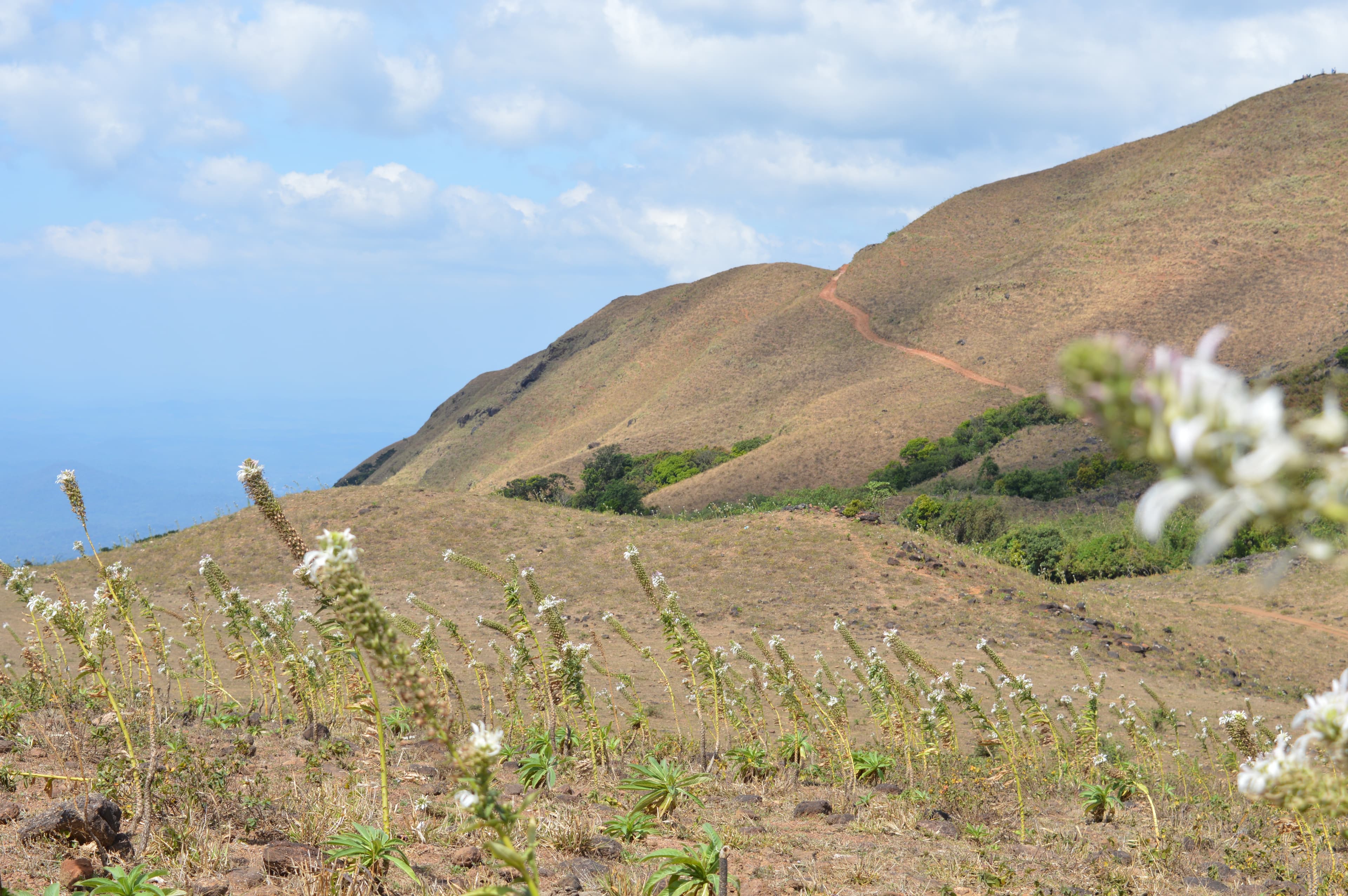 View of Mandalpatti Peak