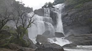 View of Mallalli Falls