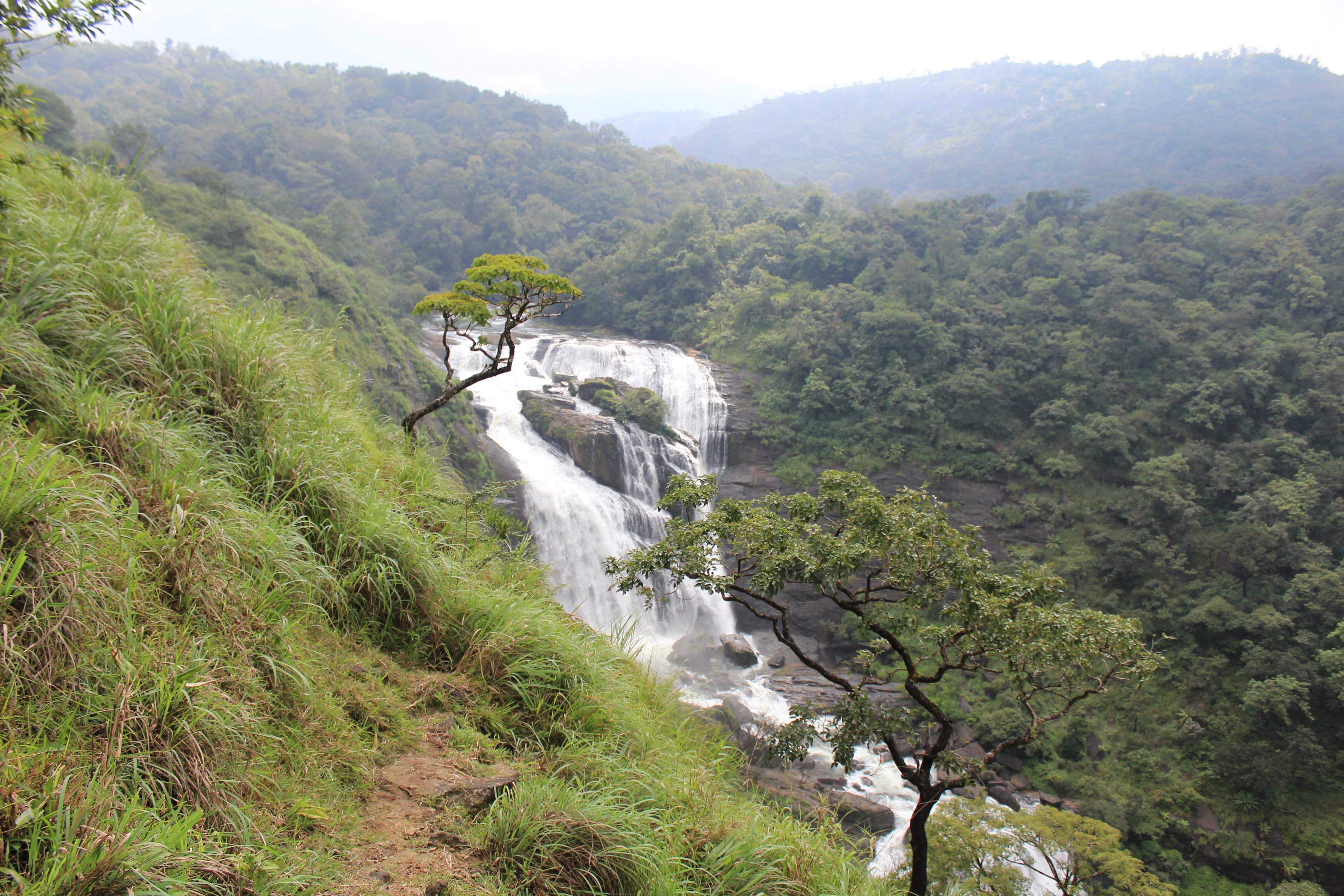 View of Mallalli Falls