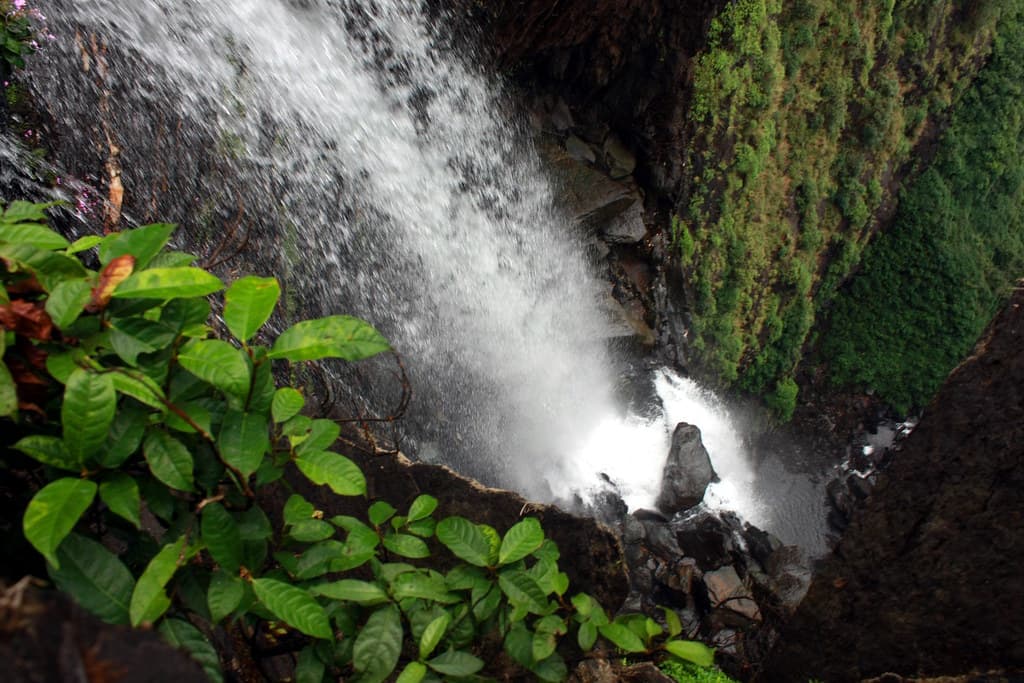 Top view of Abbi Falls