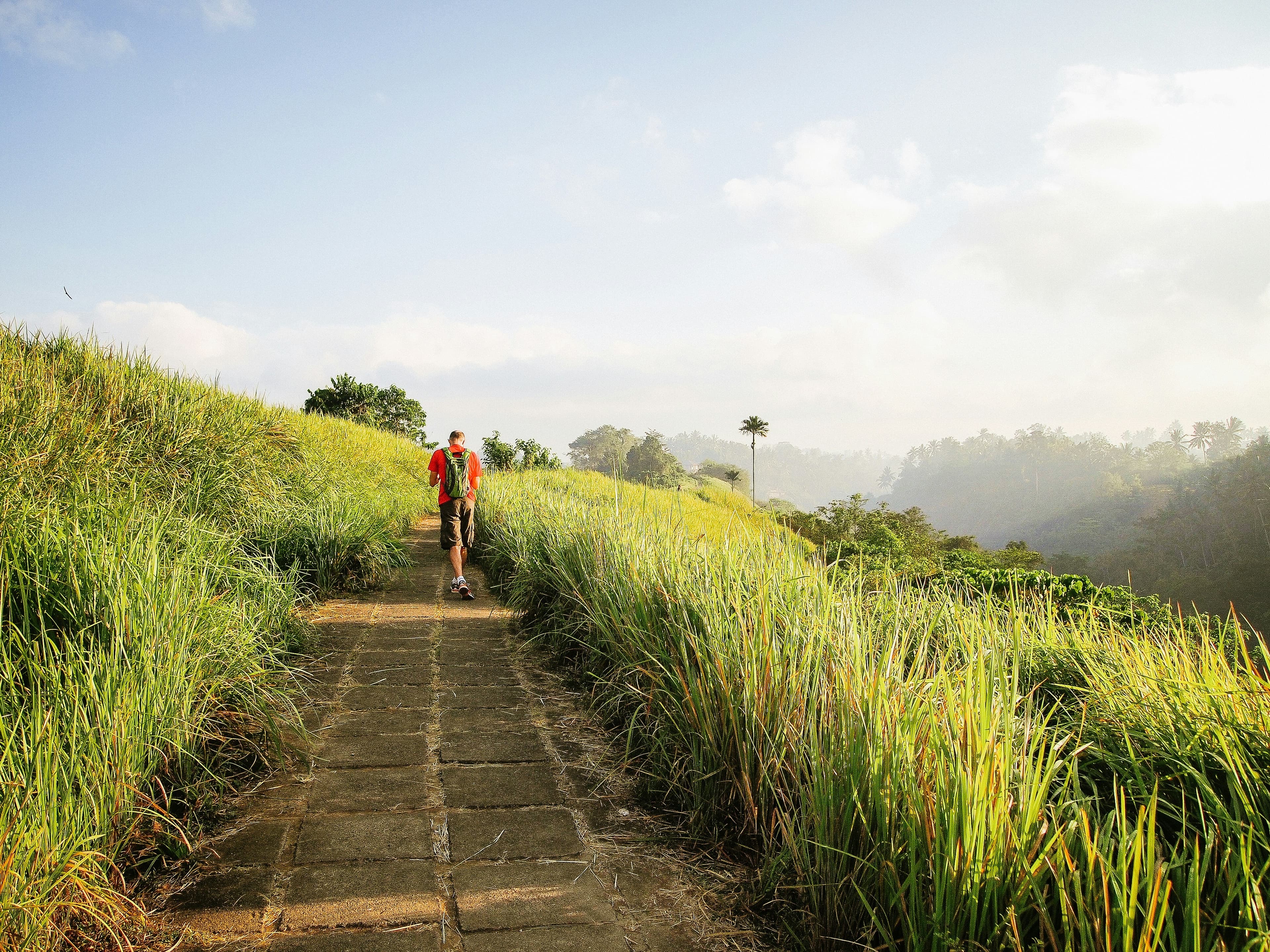 Scenic view from Campuhan Ridge Walk