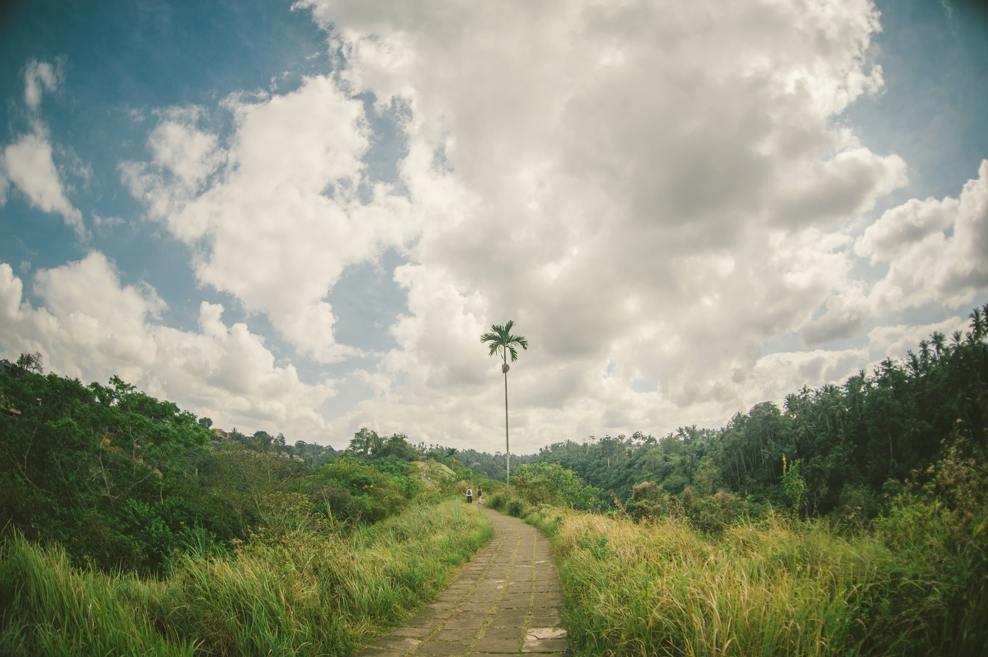 Panoramic landscape from Campuhan Ridge Walk