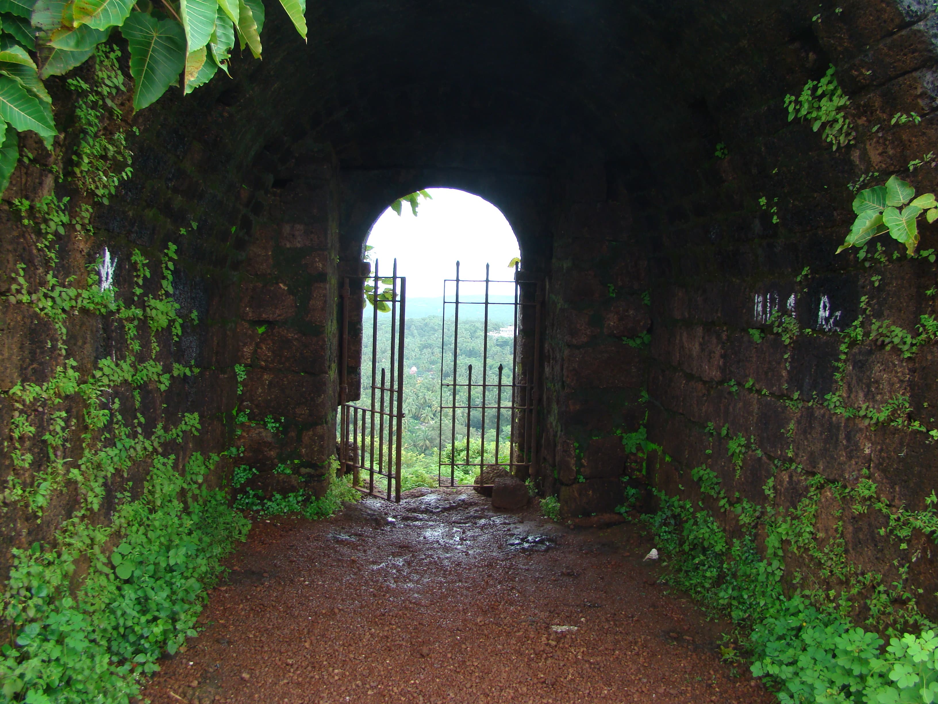 Inside view of chapora fort