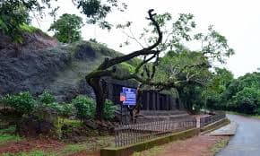 Walk space in Harvalem Waterfalls