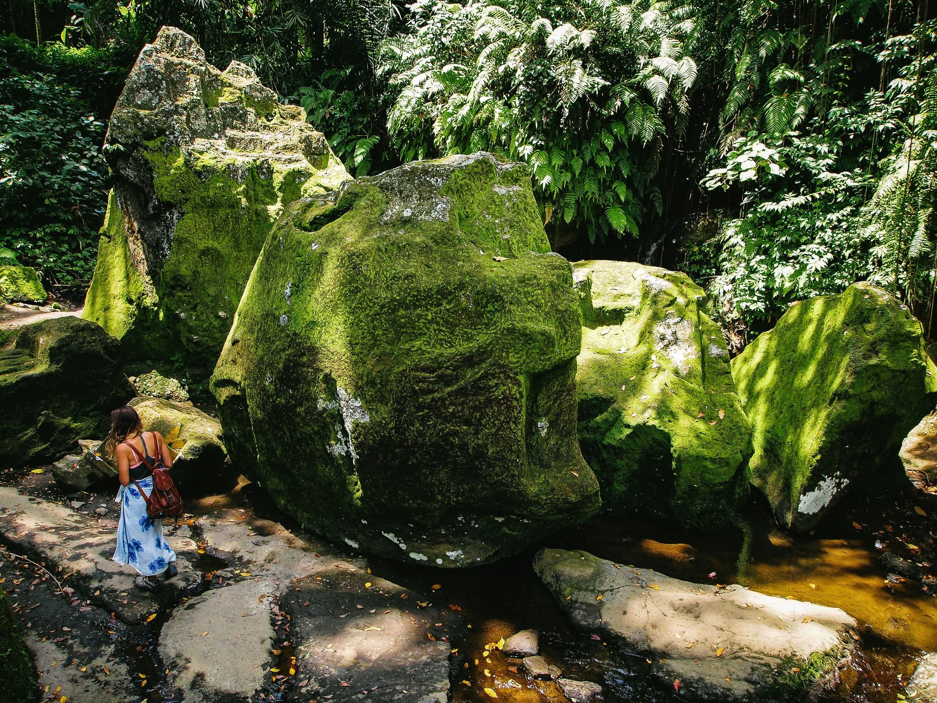 Lush greenery surrounding Goa Gajah temple
