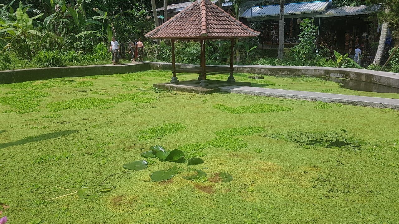 The Goa Gajah Landscape