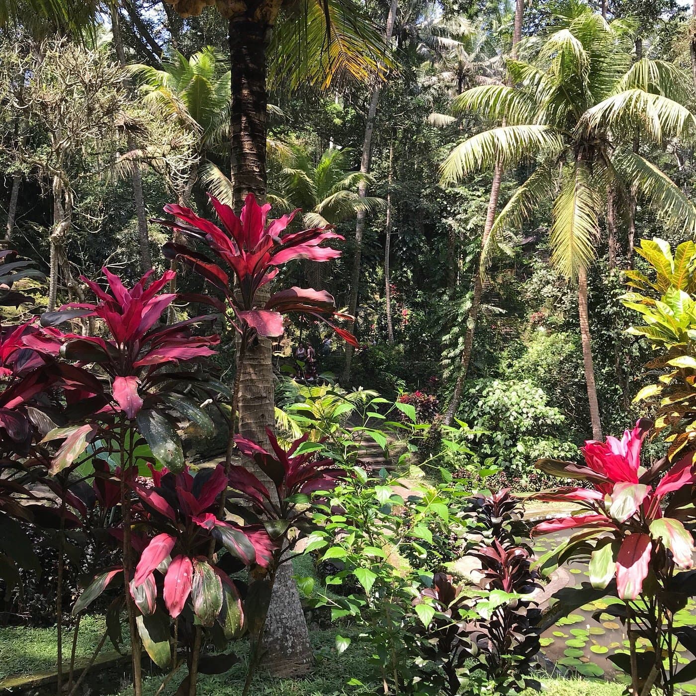 Scenic surroundings of Goa Gajah temple