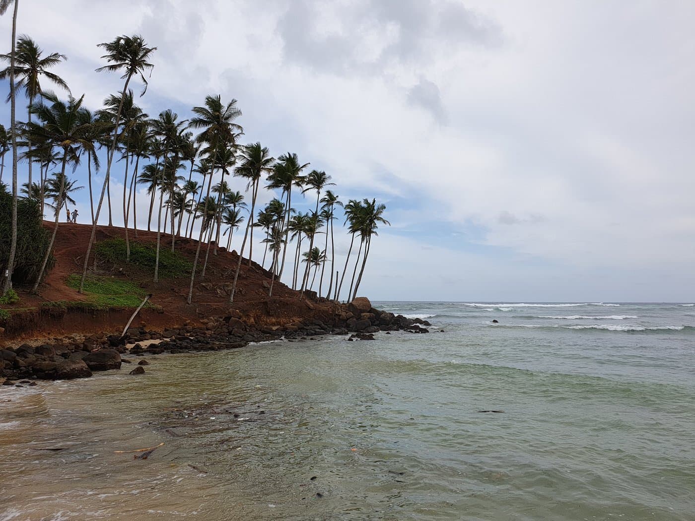 Coconut Tree Hill