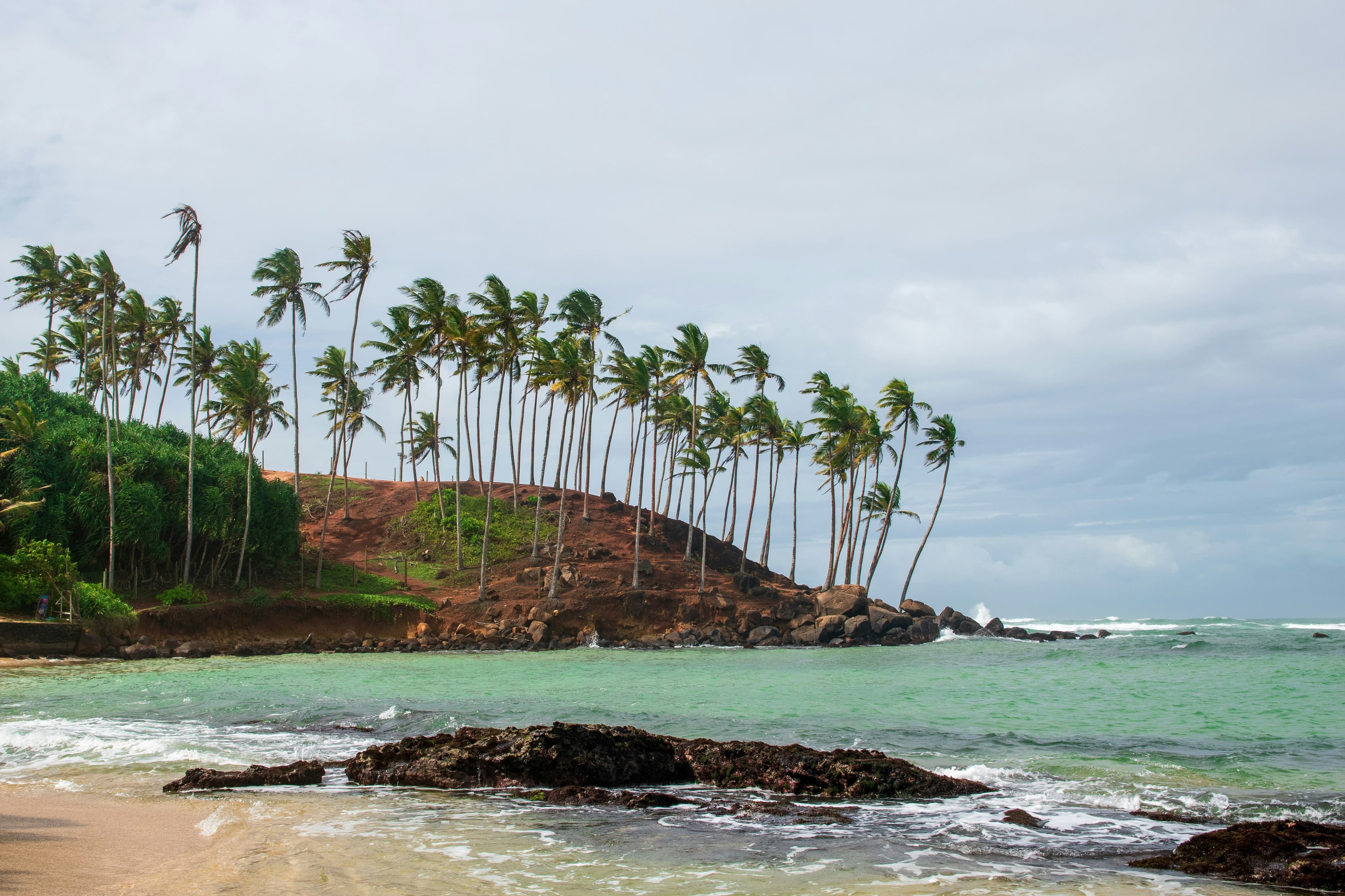 Coconut Tree Hill