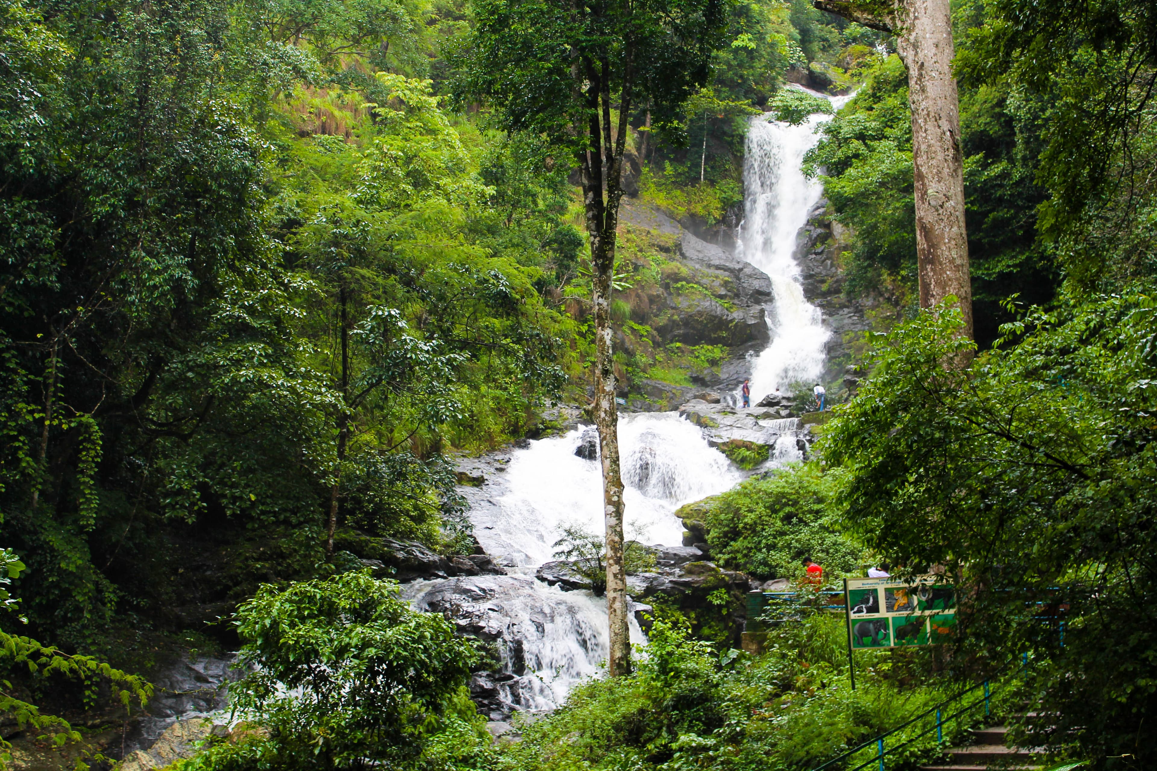 Forest view of Magajahalli Waterfalls