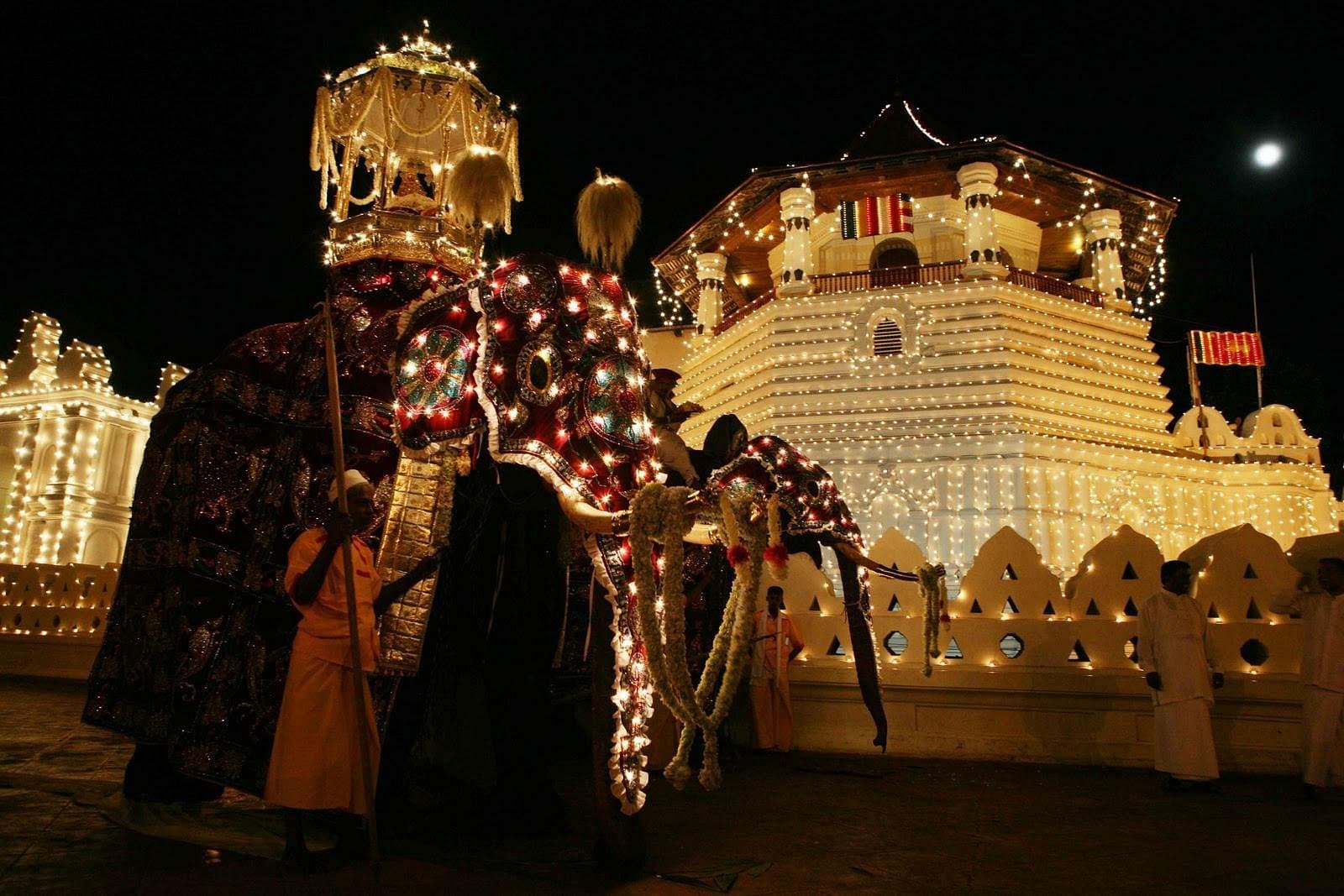 Perahera Festival