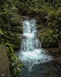 Forest view of Hadlu Waterfall