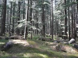 Green meadows in Manali Nature Park