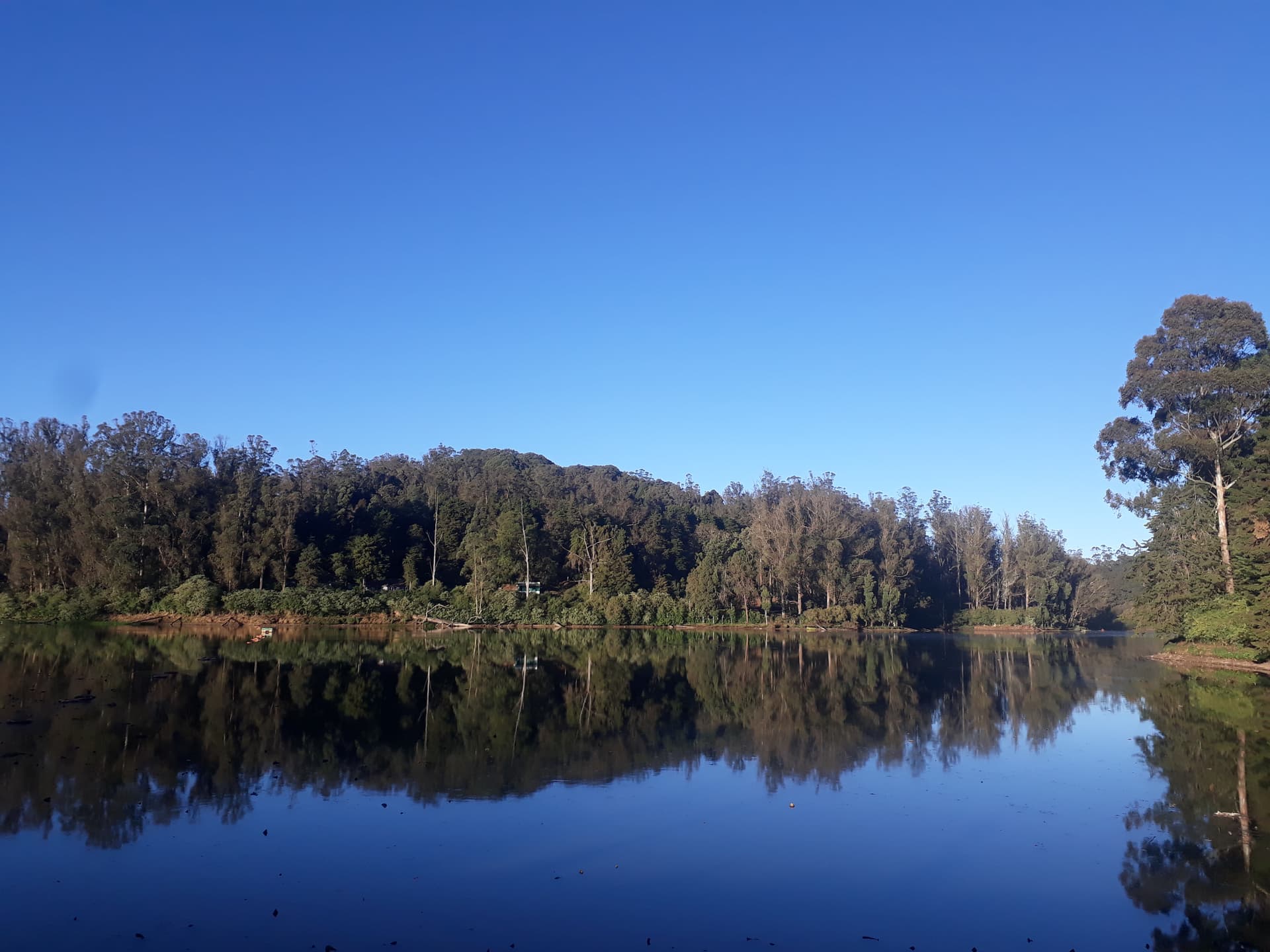 View of ooty lake
