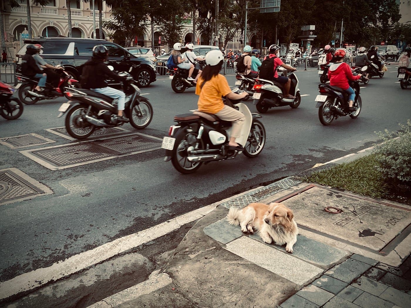 Ho Chi Minh City