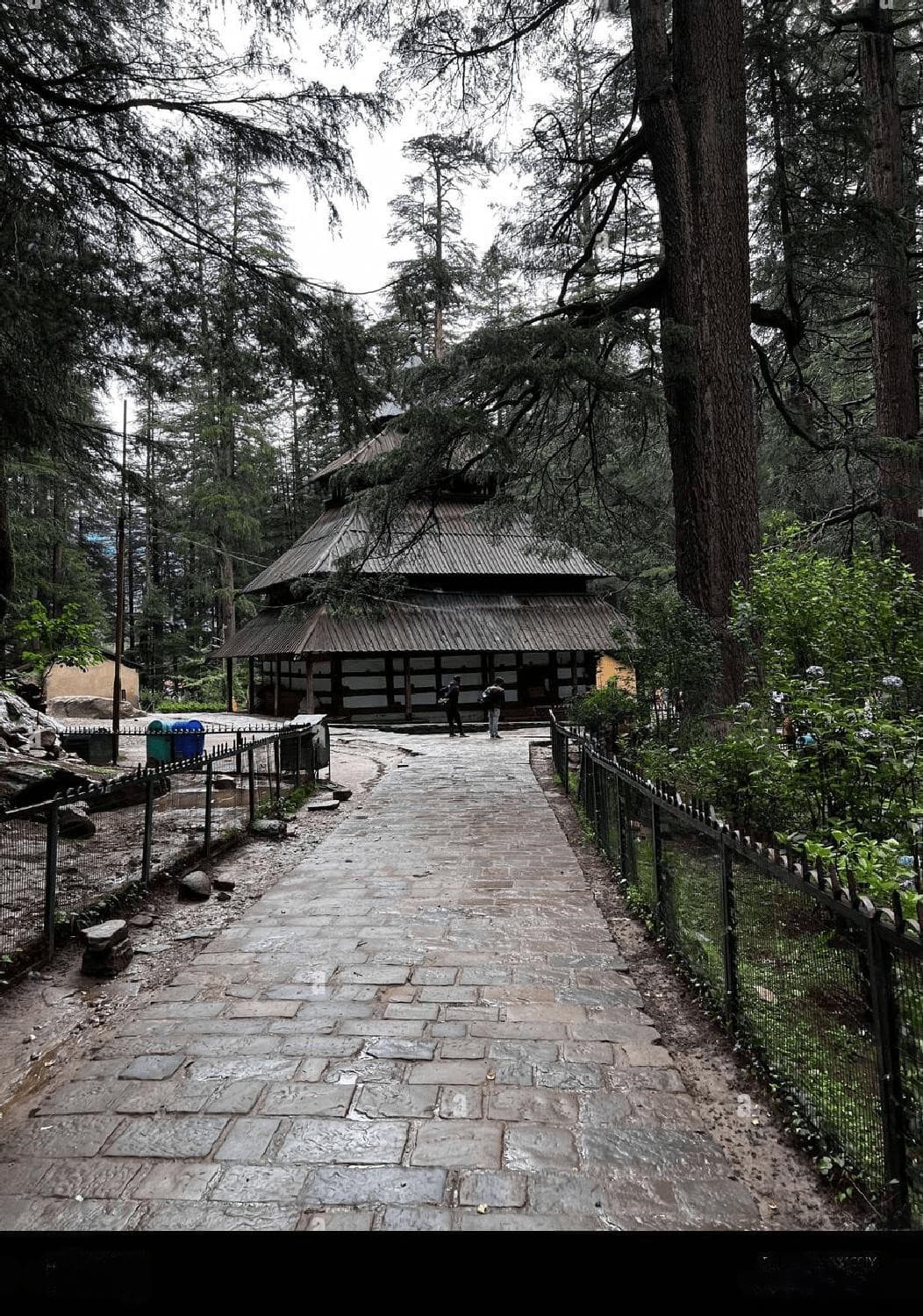 View of Hidimba Devi Temple with surrounding forest