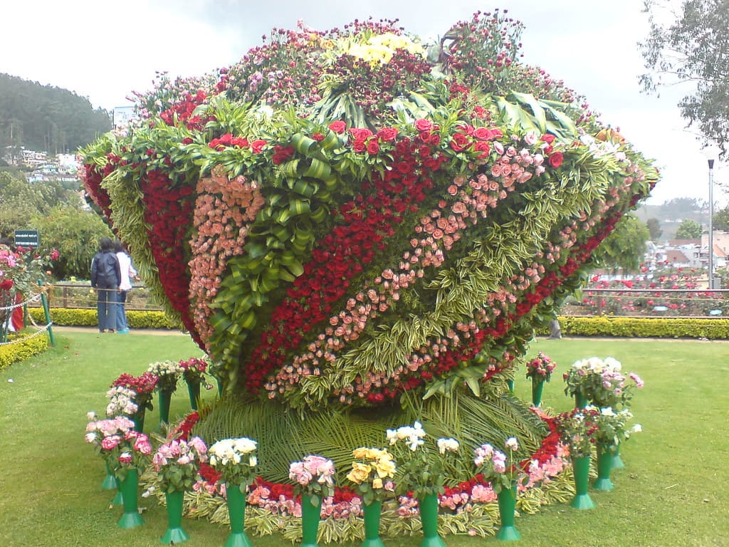 Rose decoration in Rose Garden 