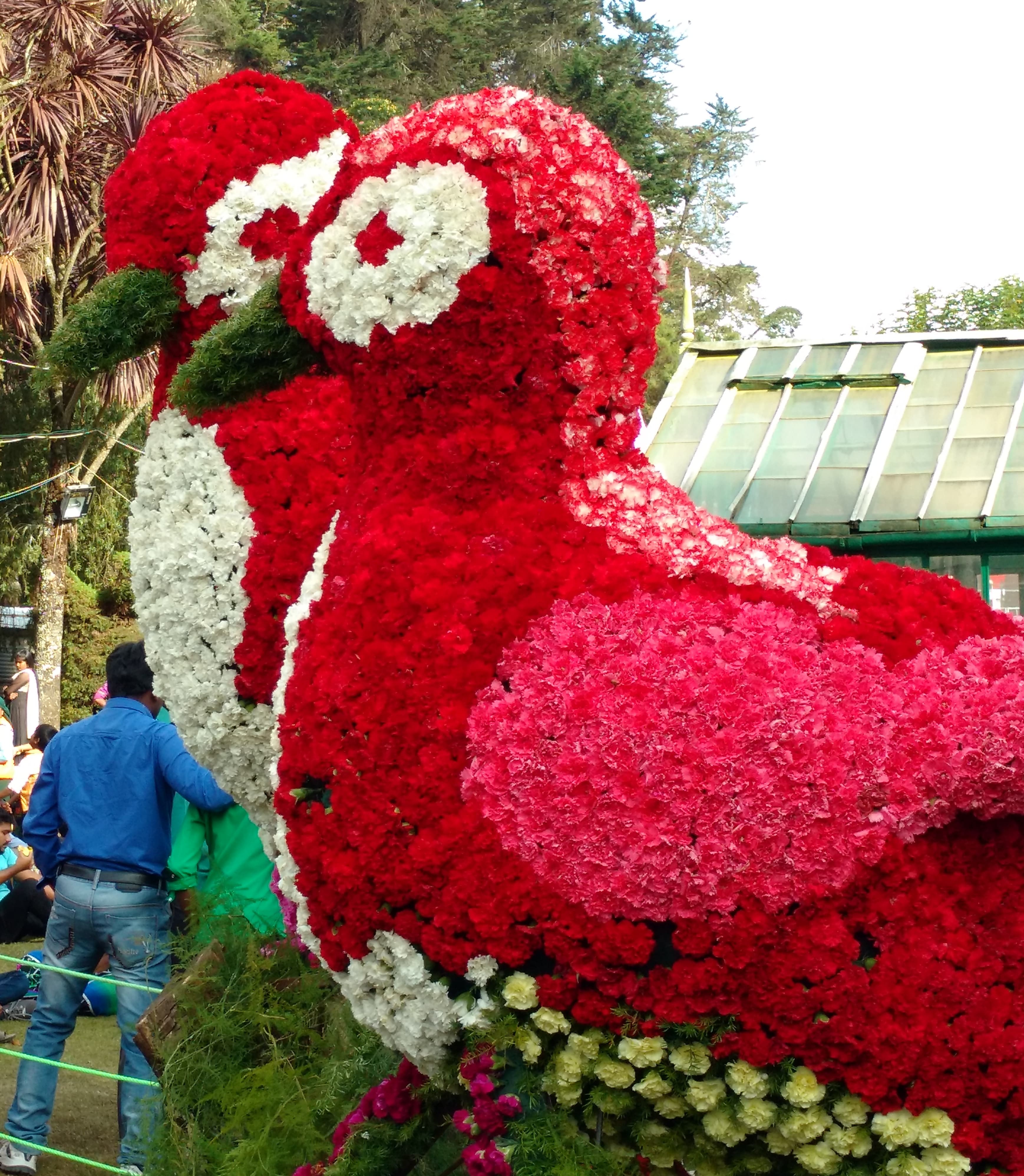 Bird design using roses in Rose Garden 