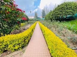 Walk-way of Rose Garden 