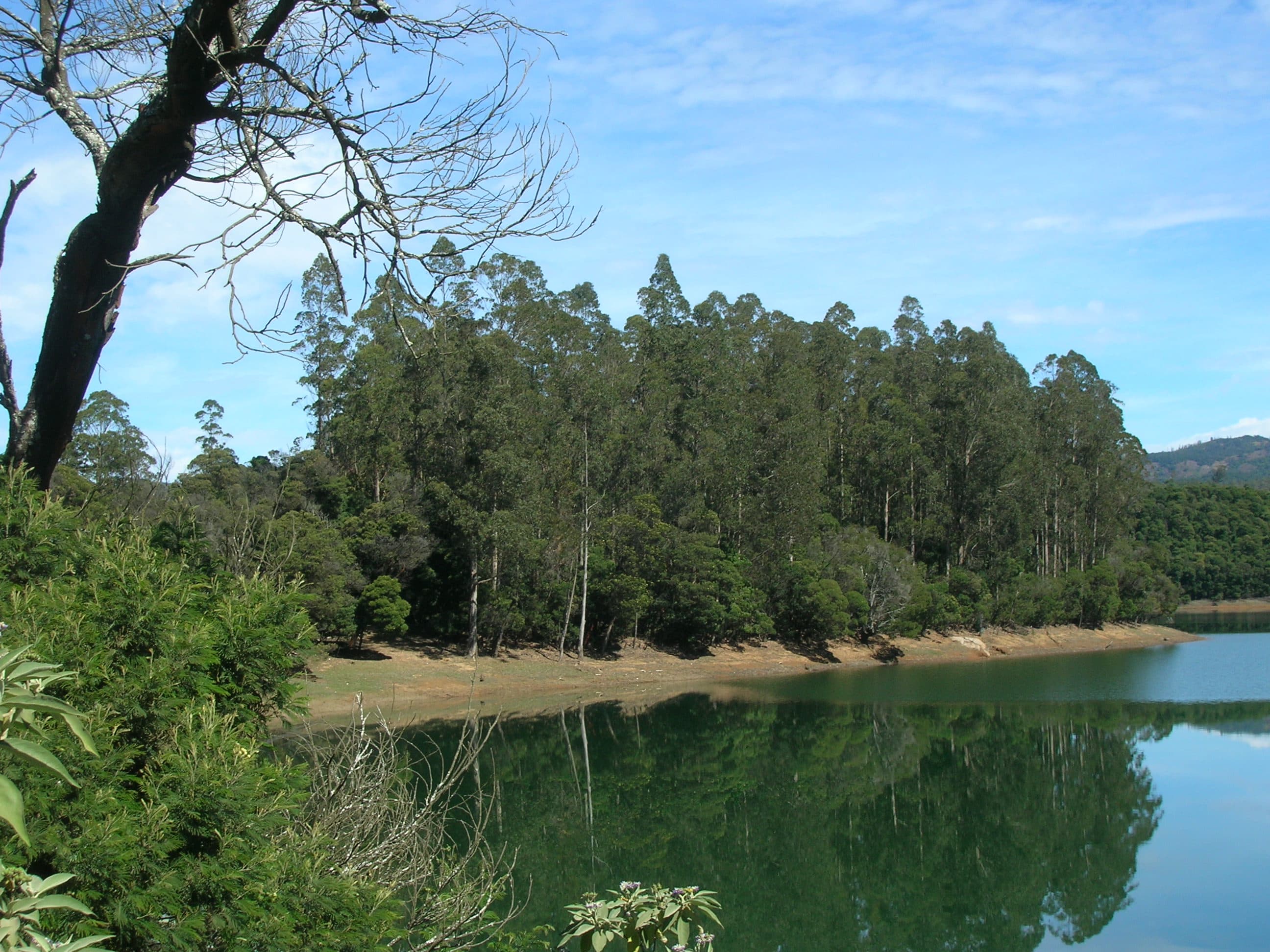 View of Emerald Lake