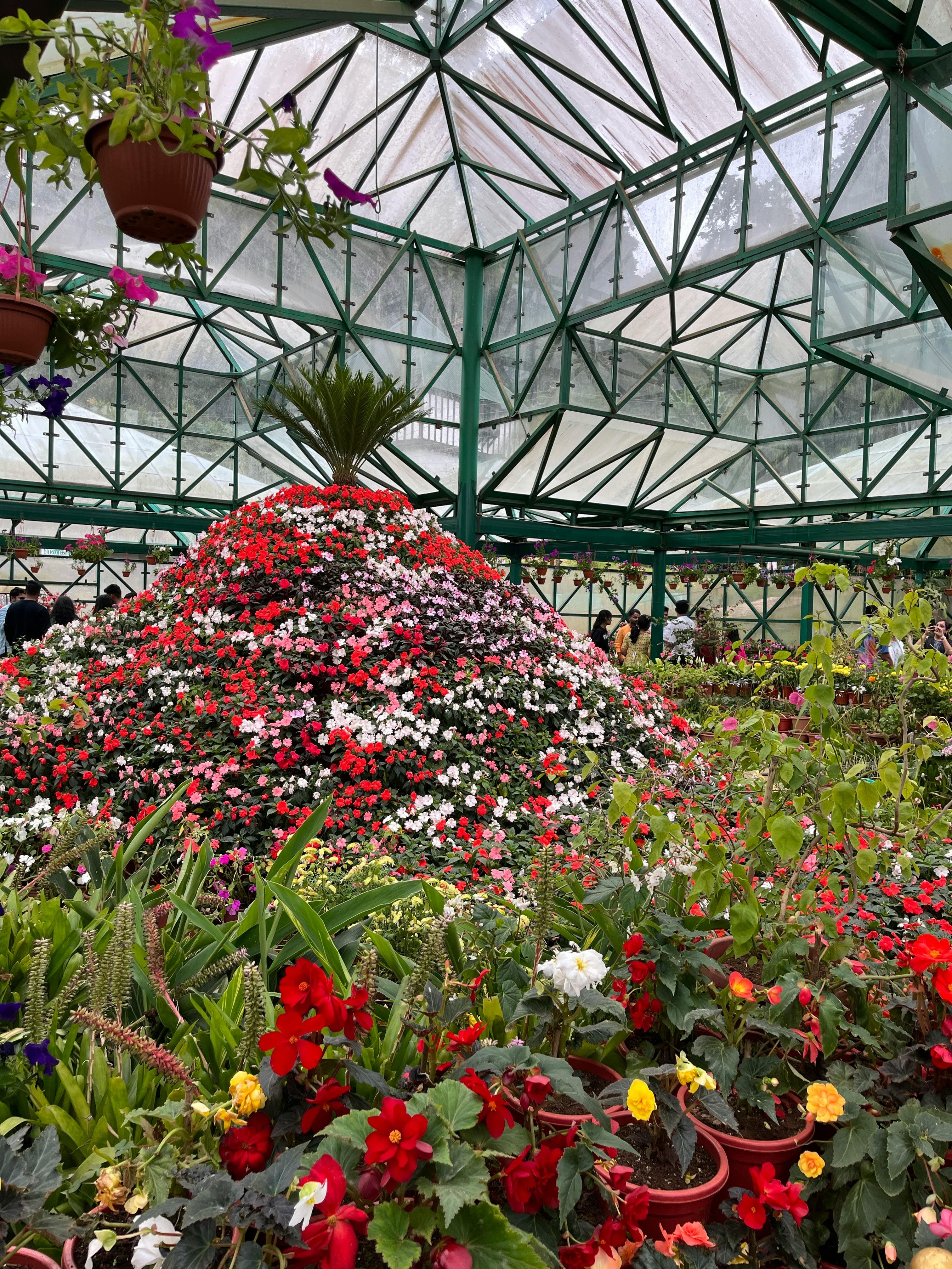 Plant house in Botanical Garden