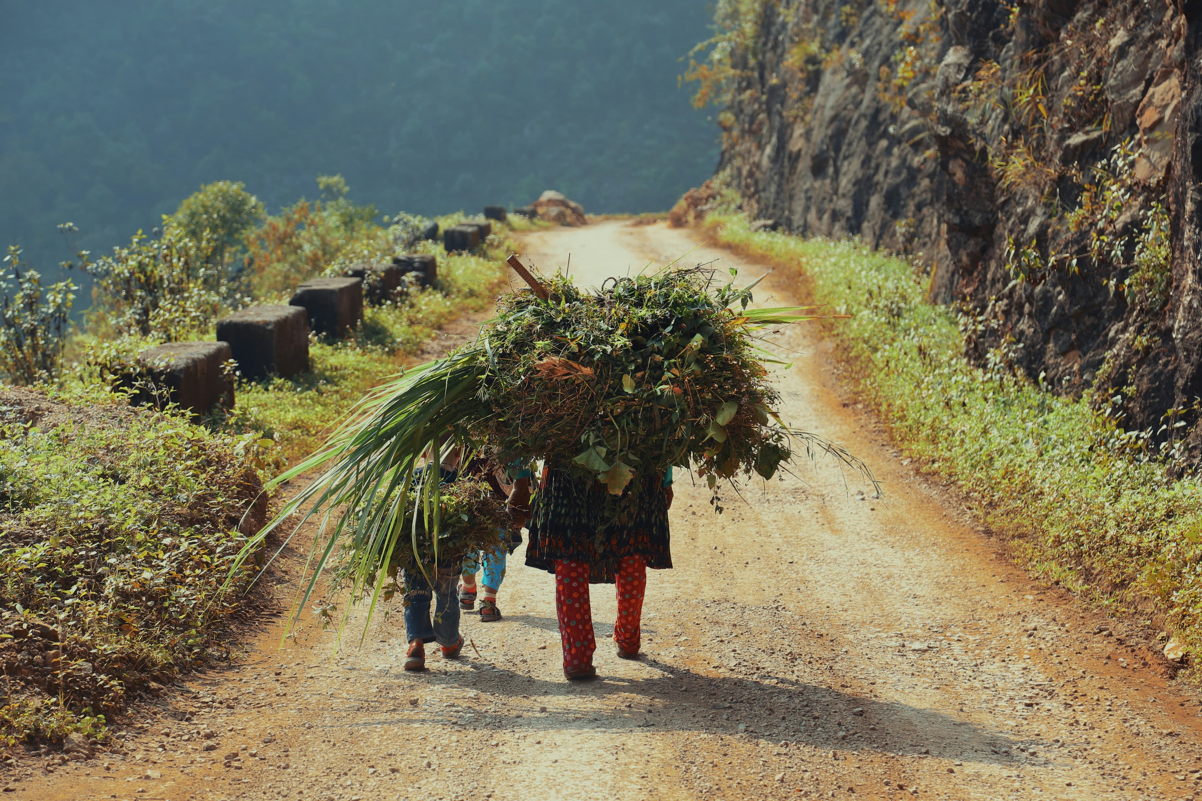 Ha Giang