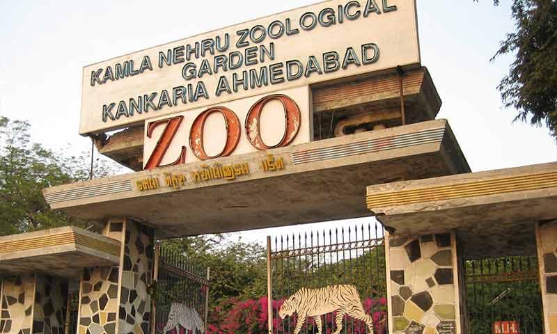 Kamla Nehru Zoological Garden 