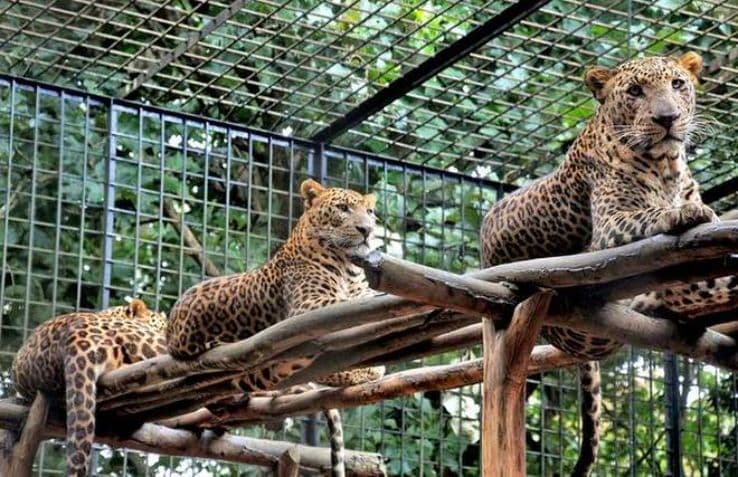 Kamla Nehru Zoological Garden 
