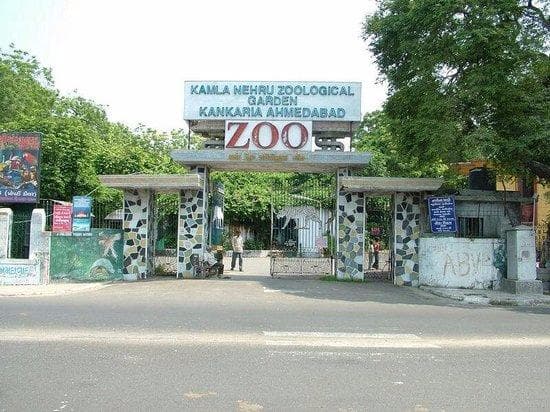 Kamla Nehru Zoological Garden 