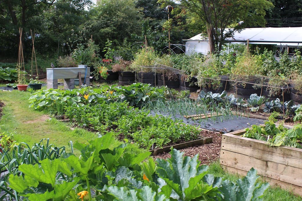 Garden in Lighthouse Hill Garden