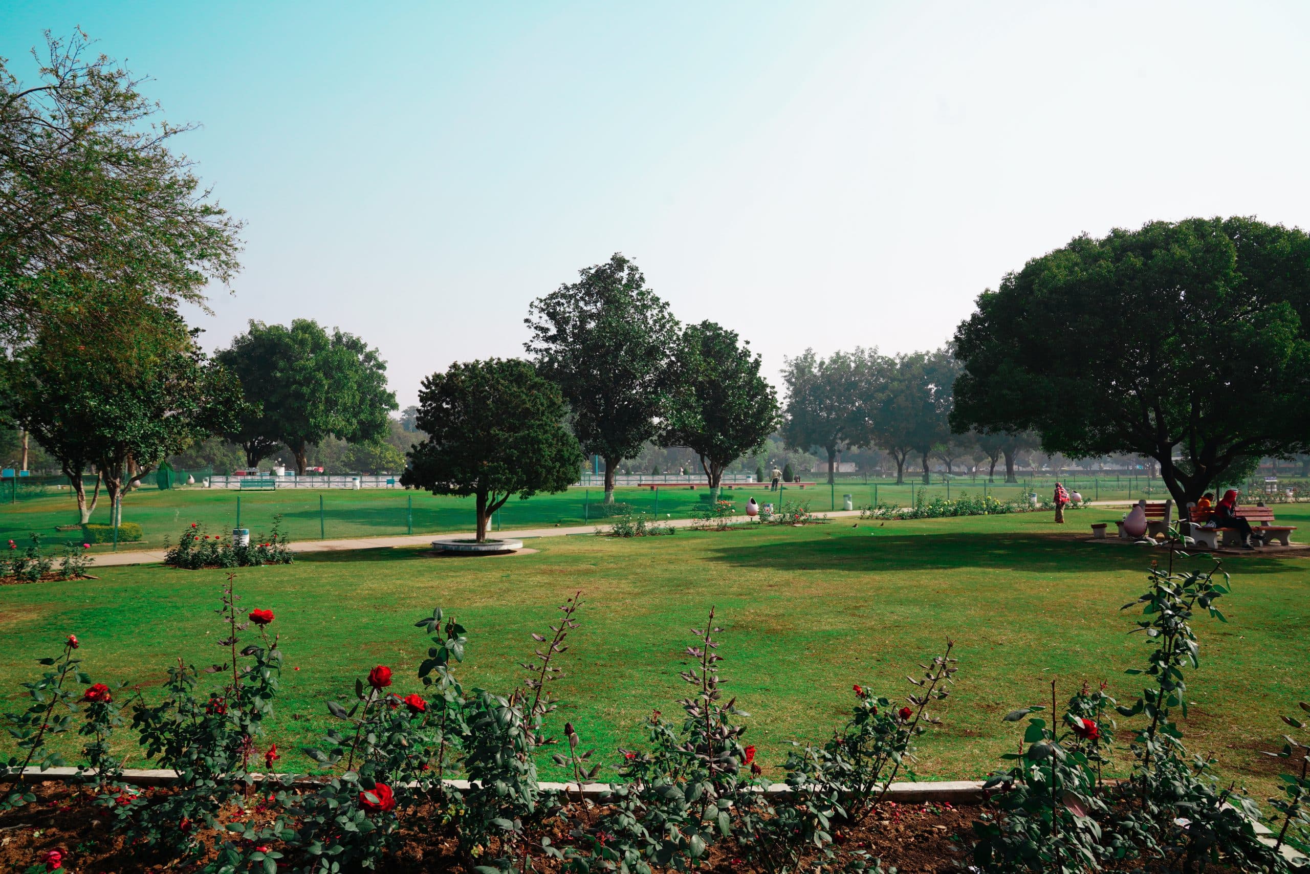 Garden near the Lighthouse Hill Garden