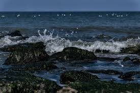 Water rushing to rocks in Ullal Beach