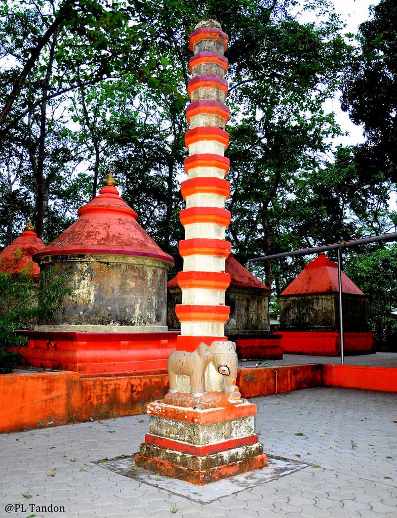 Pillar inside Kadri Manjunath Temple