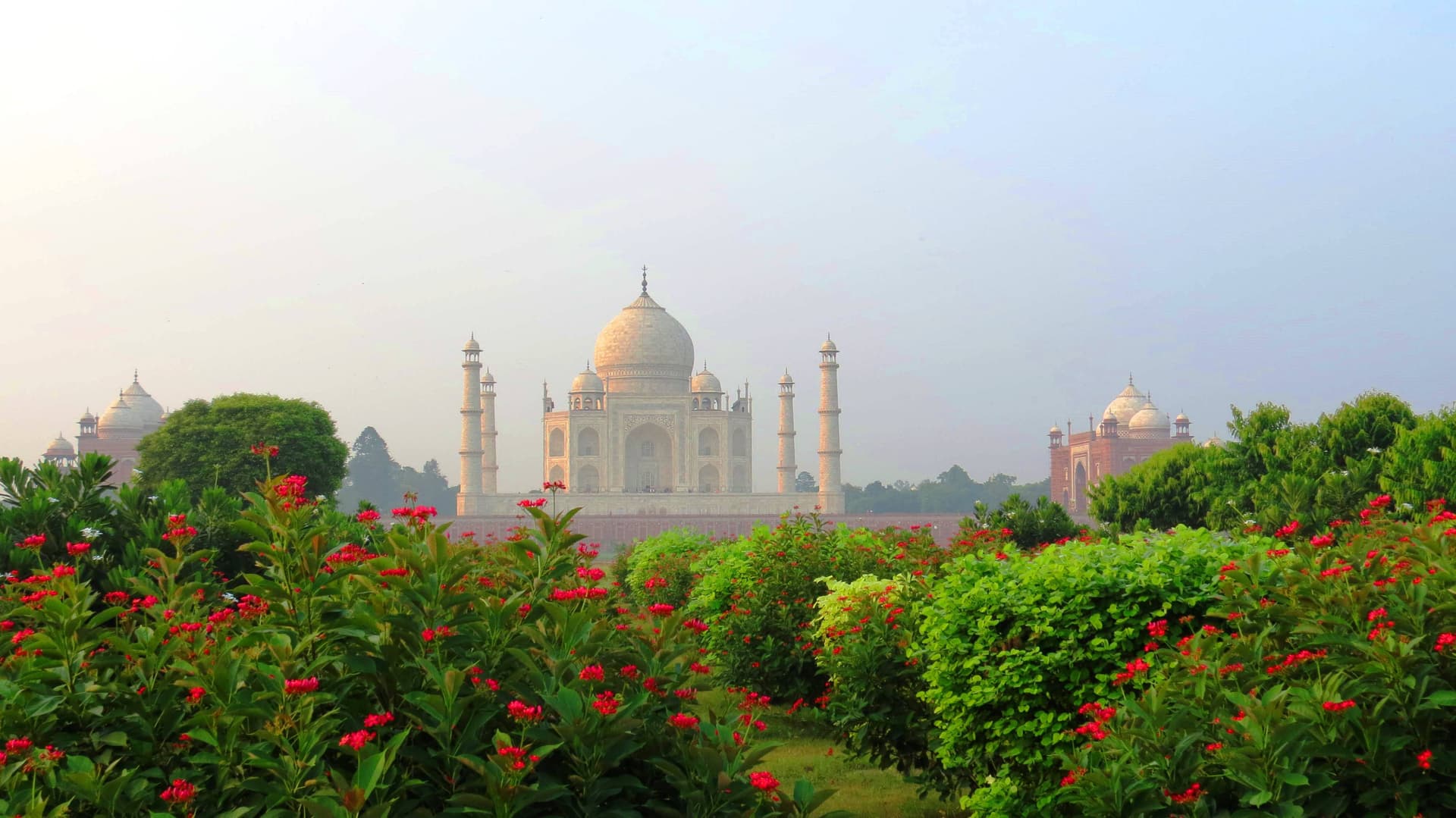View of the Taj Mahal from Mehtab Bagh