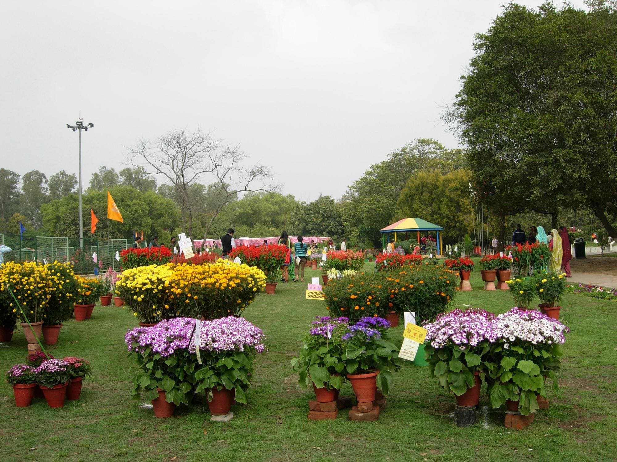 Flower show at Leisure Valley Park