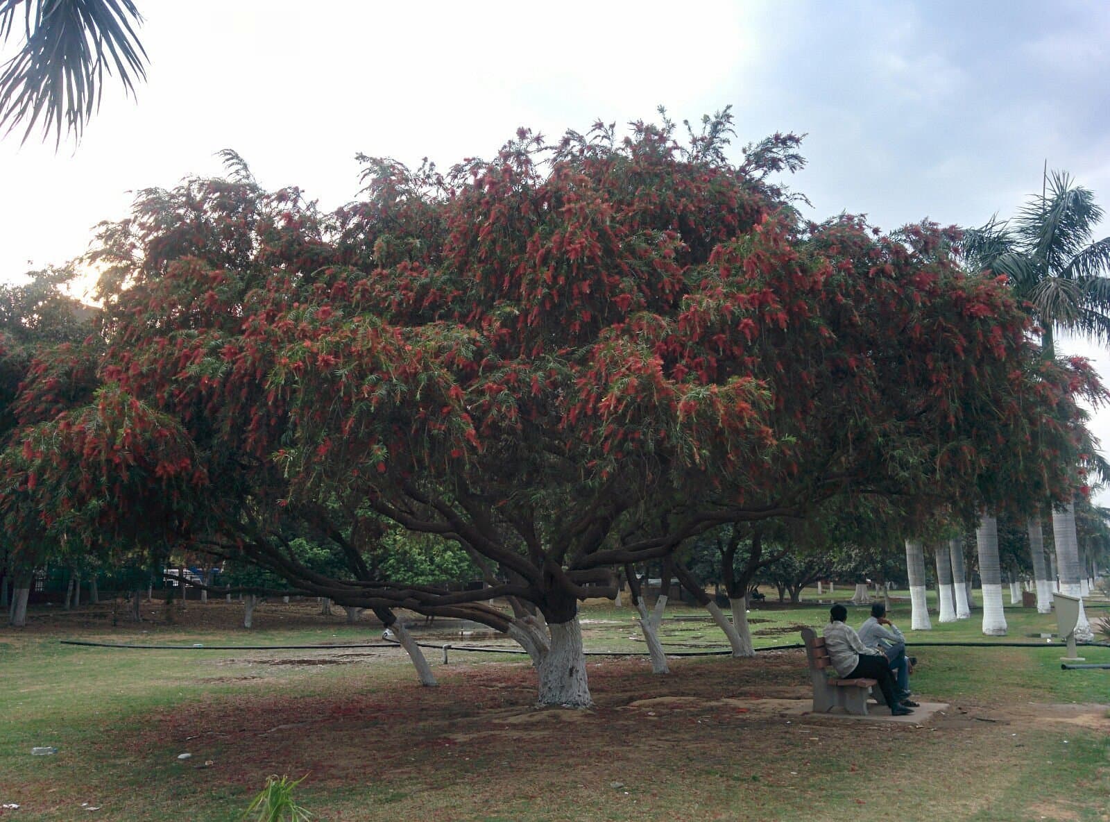 Leisure Valley Park