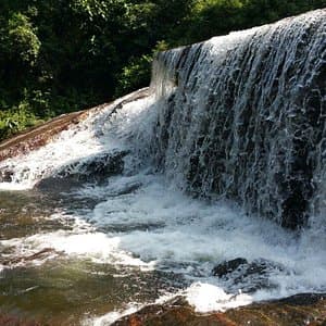 Forest view of Vydehi Falls