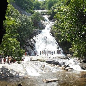 Closer forest view of Vydehi Falls