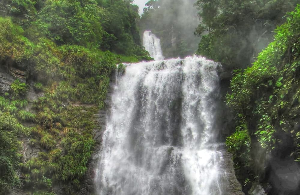 View of Monkey Falls