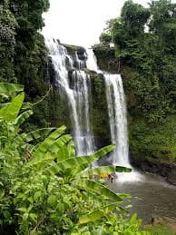 Forest view of Siruvani Waterfalls