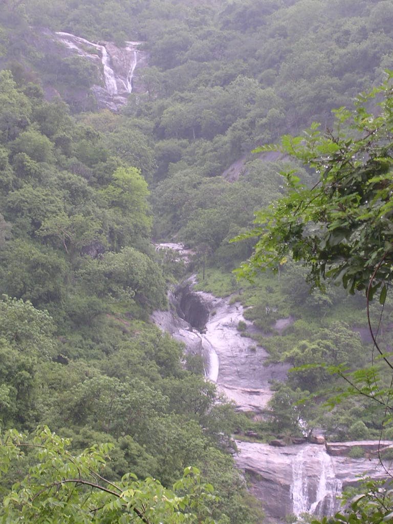 Distance forest view of Siruvani Waterfalls