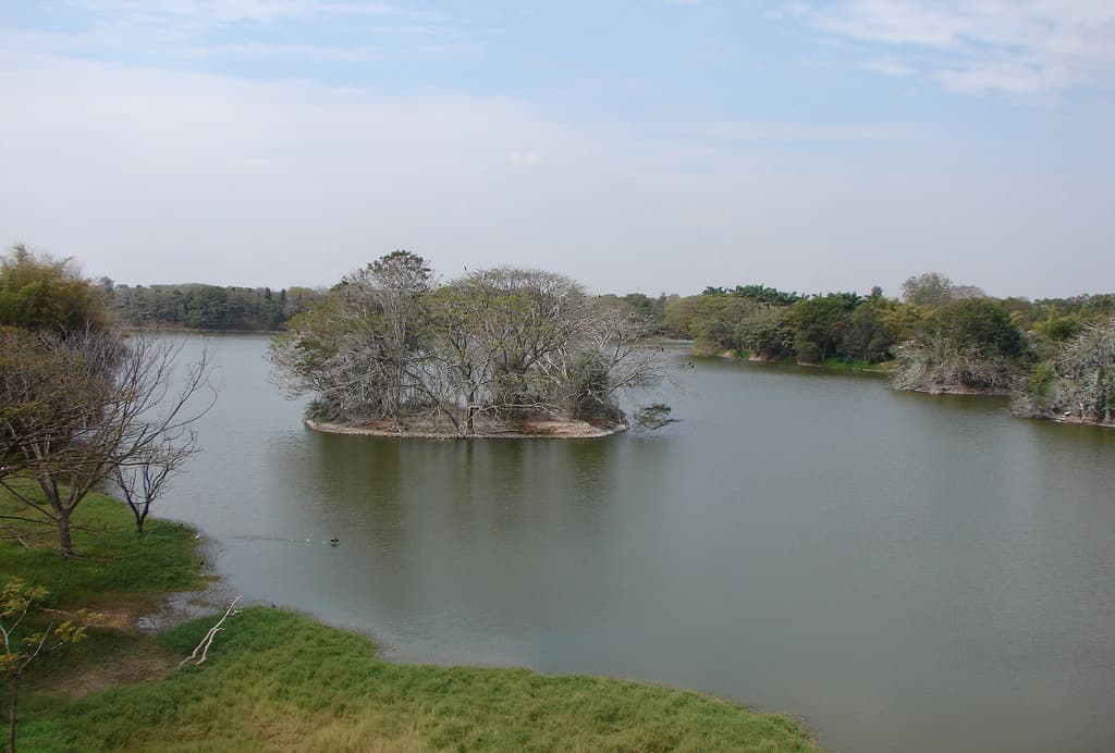 Reflections of trees in Karanji Lake