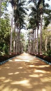 Pathways and benches at Karanji Lake