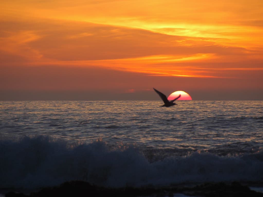 Sunset view from Half moon Beach