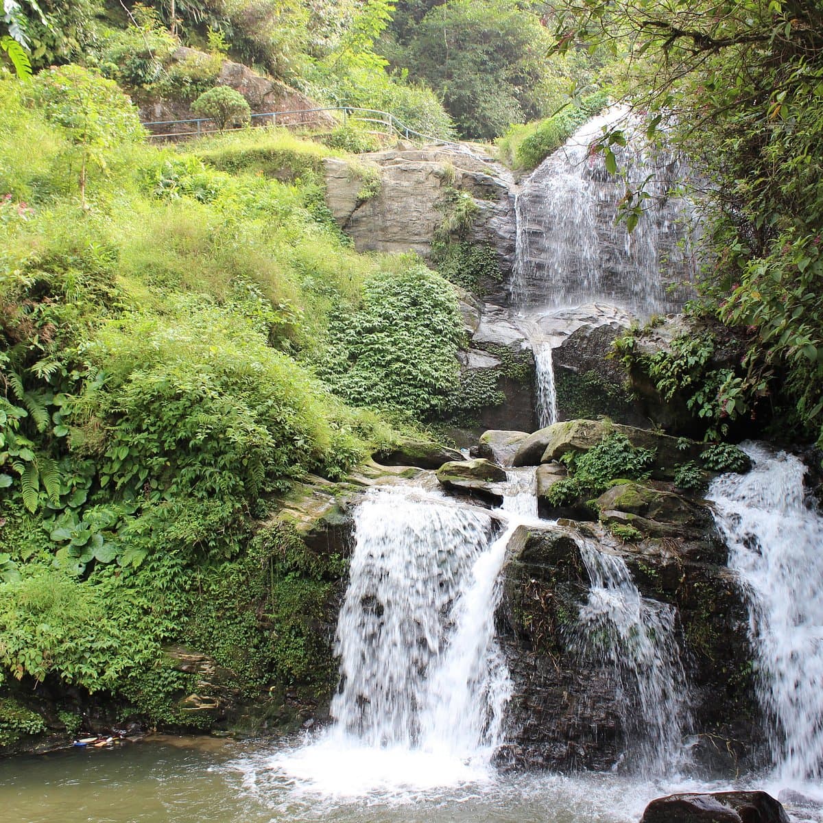Rock Garden Darjeeling